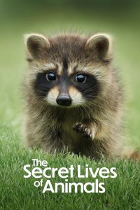 A Vida Secreta dos Animais: 1 Temporada